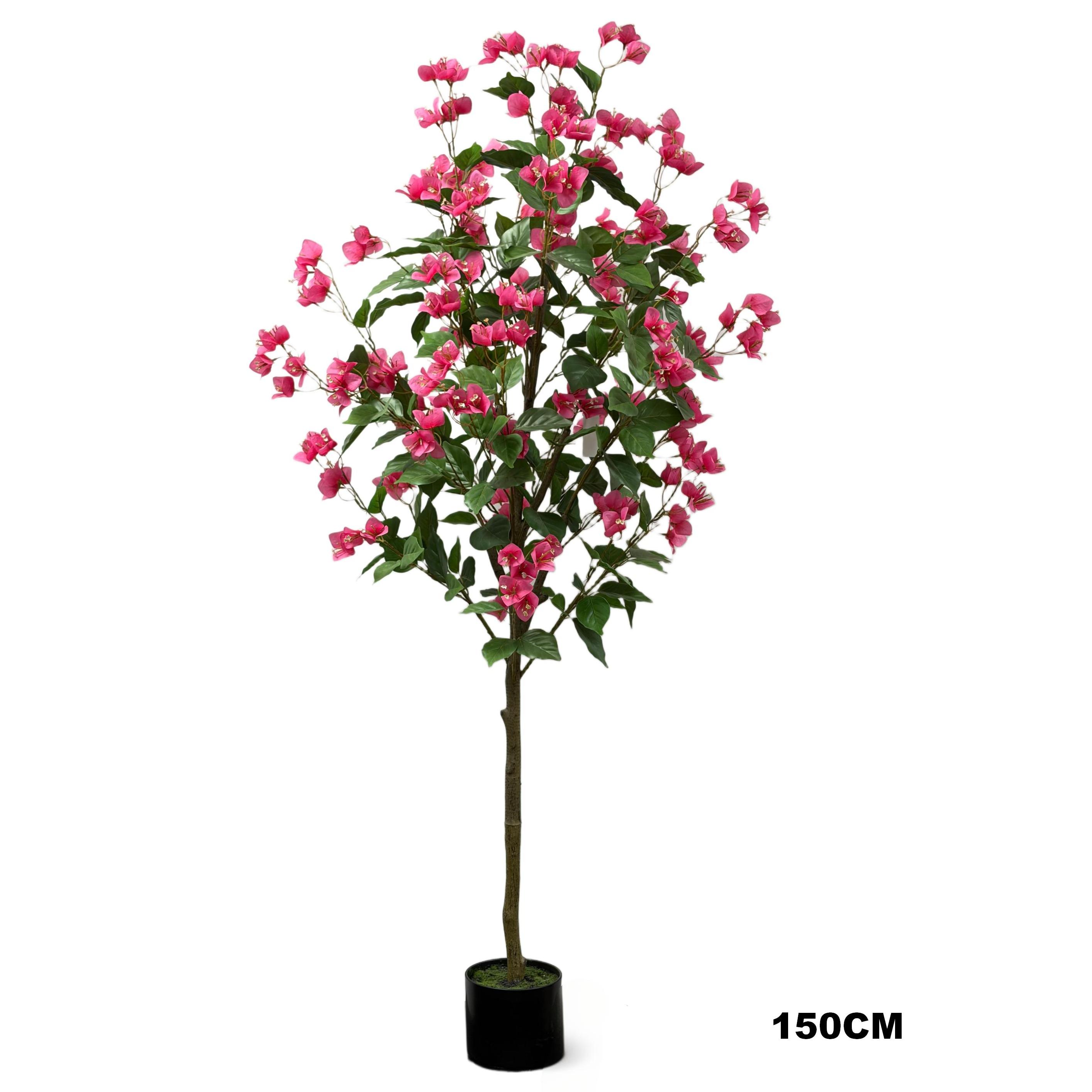 Bougainvillea（2.0）