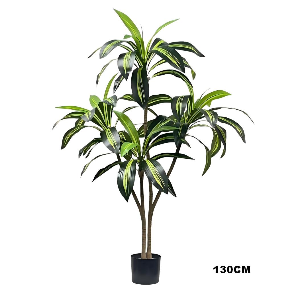 Brazilwood(Green)2.0